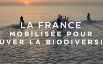 3ème stratégie nationale pour la biodiversité