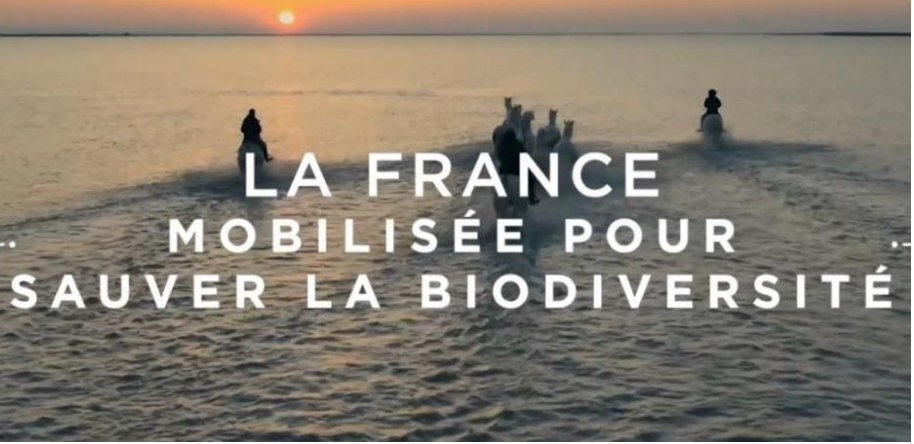 3ème stratégie nationale pour la biodiversité