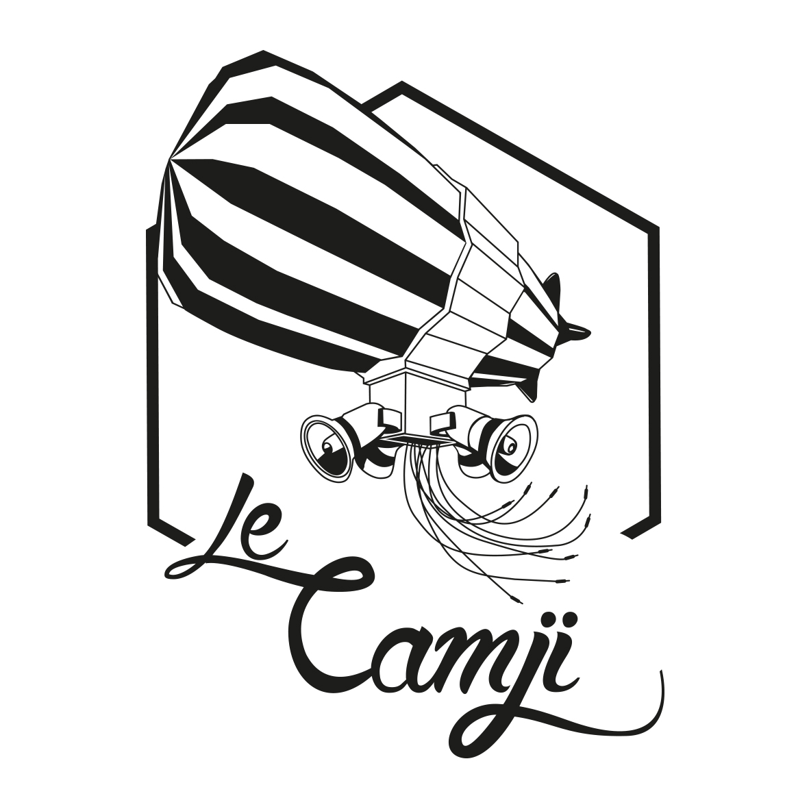 image logo camji