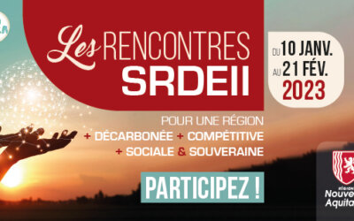 SRDEII : Participez à ces échanges pour comprendre l’action économique régionale