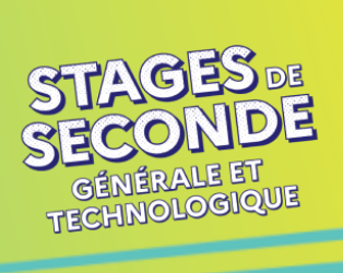 [Education à l’ESS] Accueil de stagiaire – stages de seconde